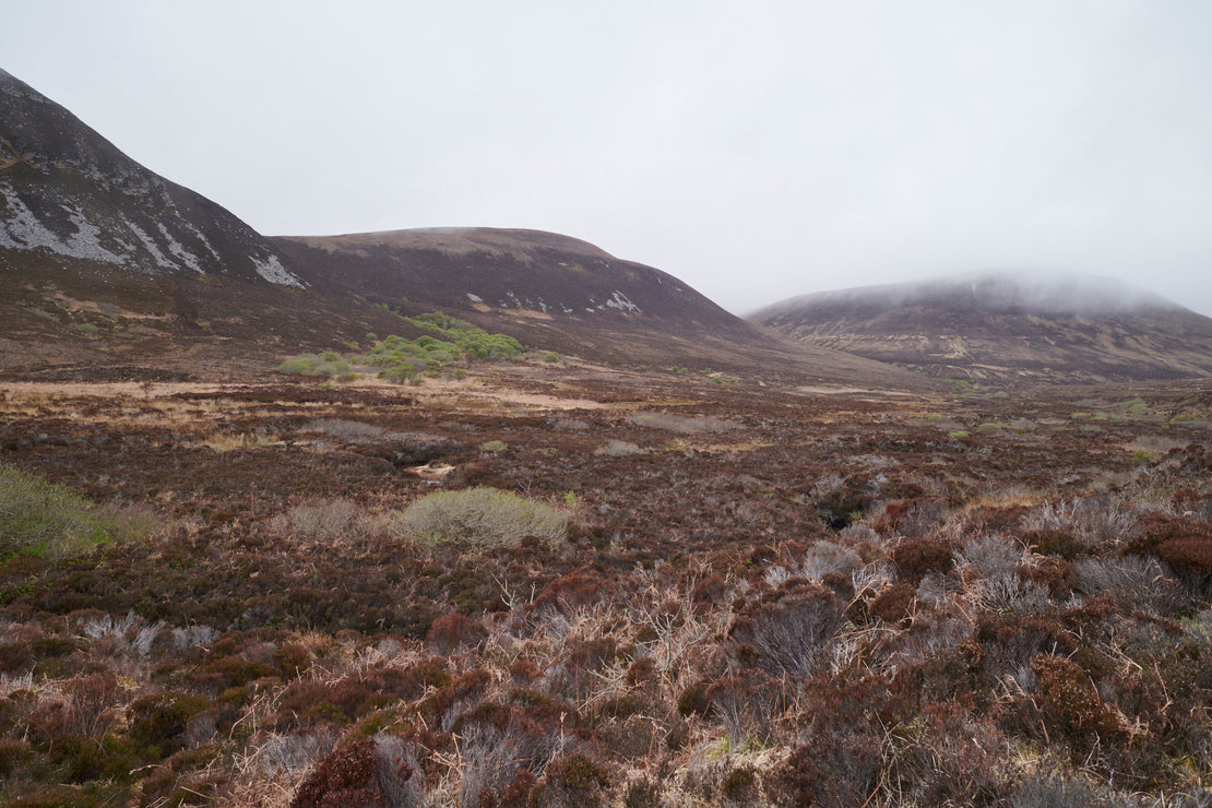 Low clouds cover the tops of heather covered ills in Hoy