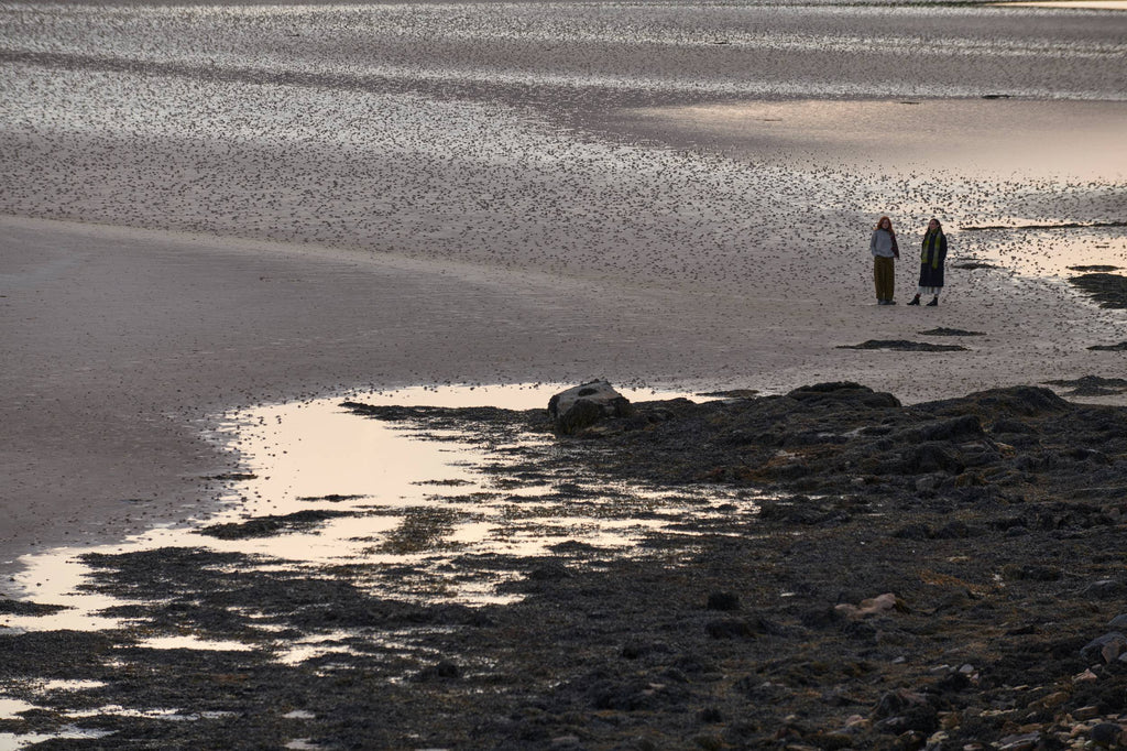 Orkney Beach