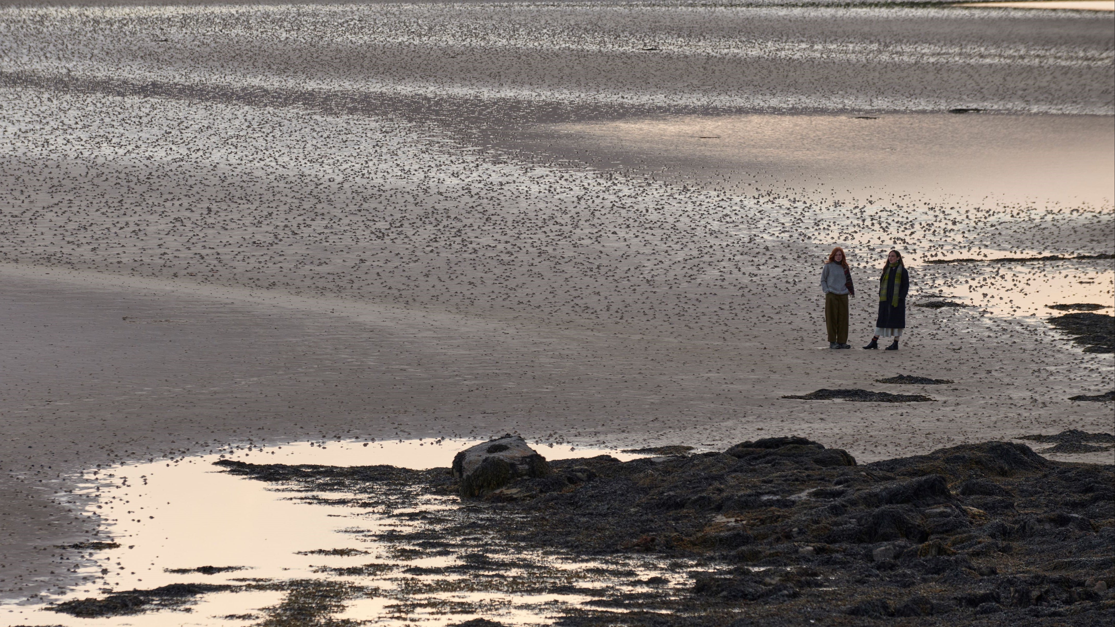 two people on a beach at low tide
