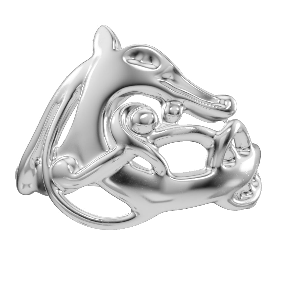 close up of ring details