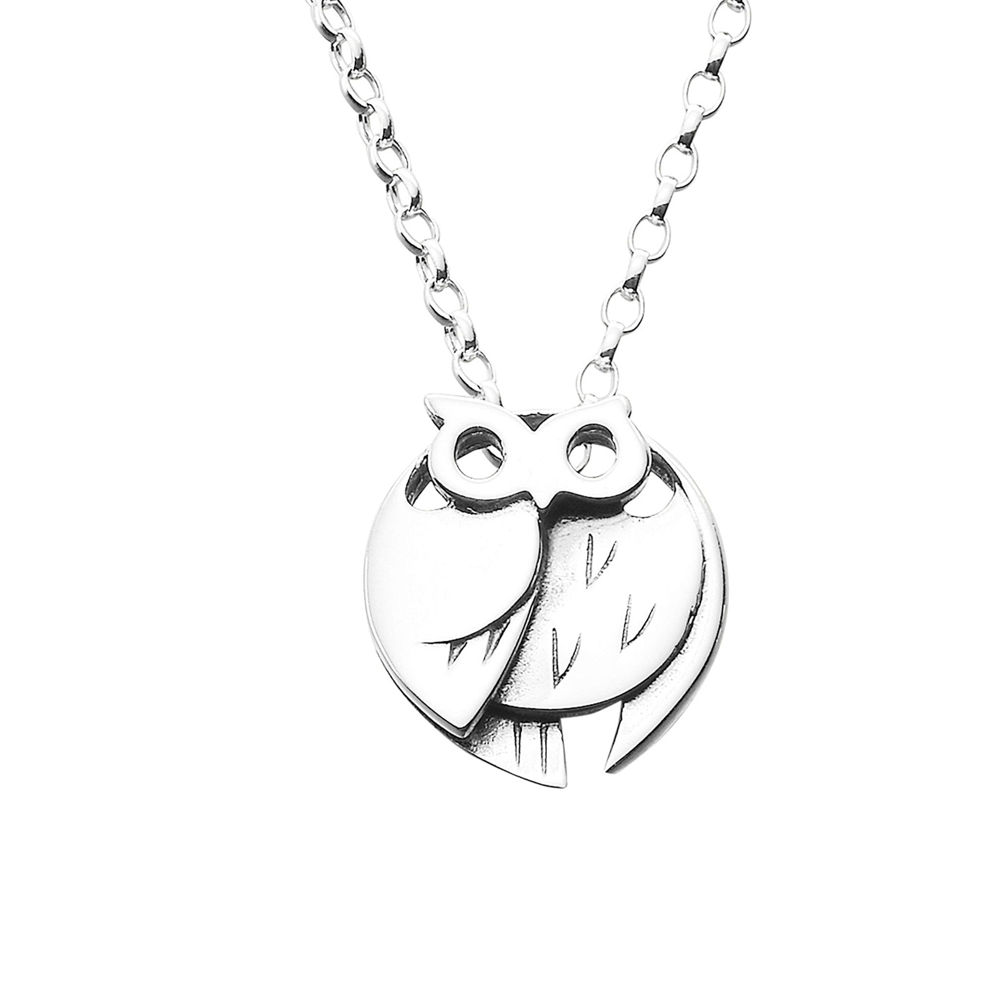 A silver pendant necklace featuring a stylish owl design, displayed against a white background.